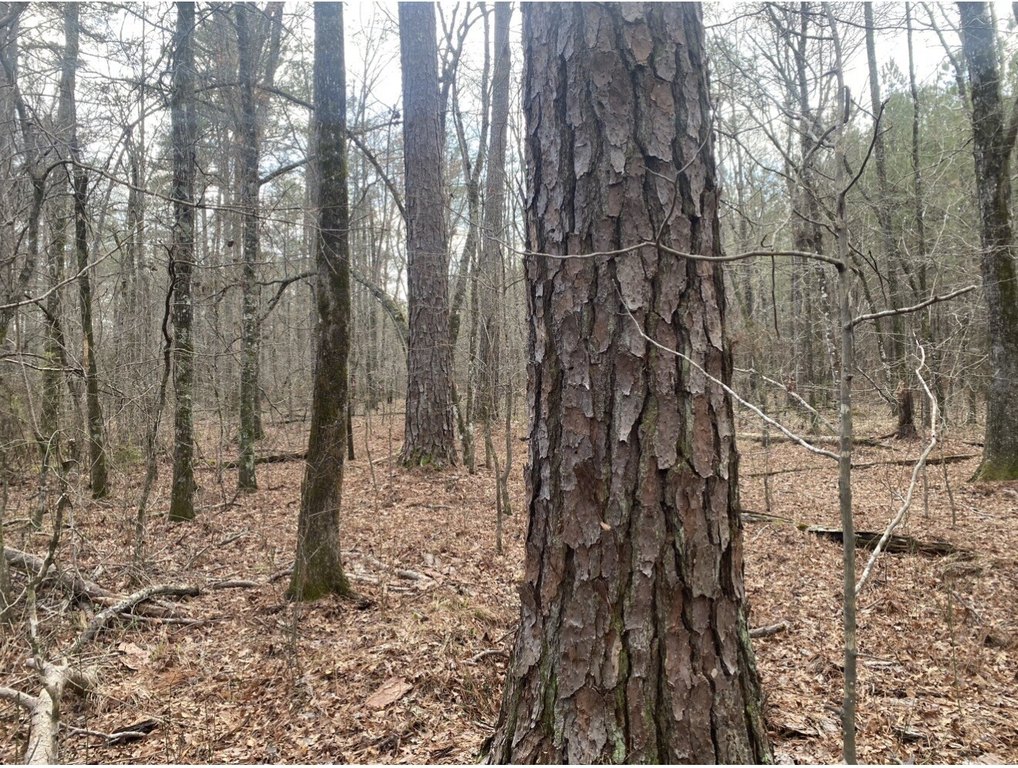 Picture 17