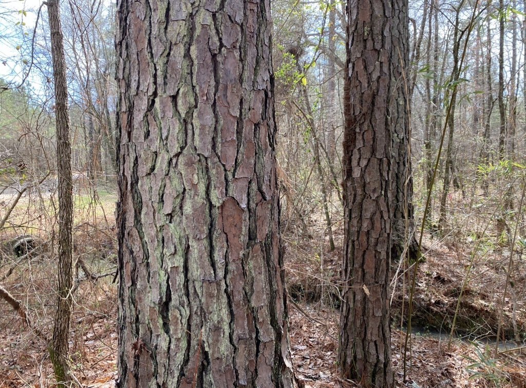 Picture 28