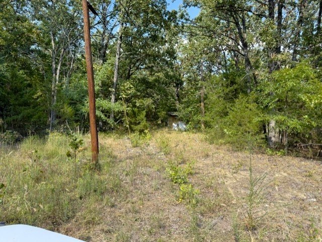 Picture 5