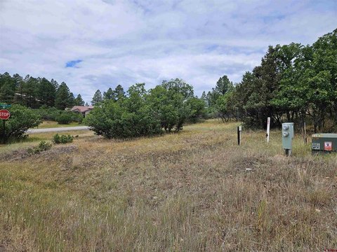Land For Sale, Pagosa Springs