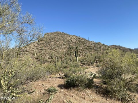 LAND - Morristown, AZ