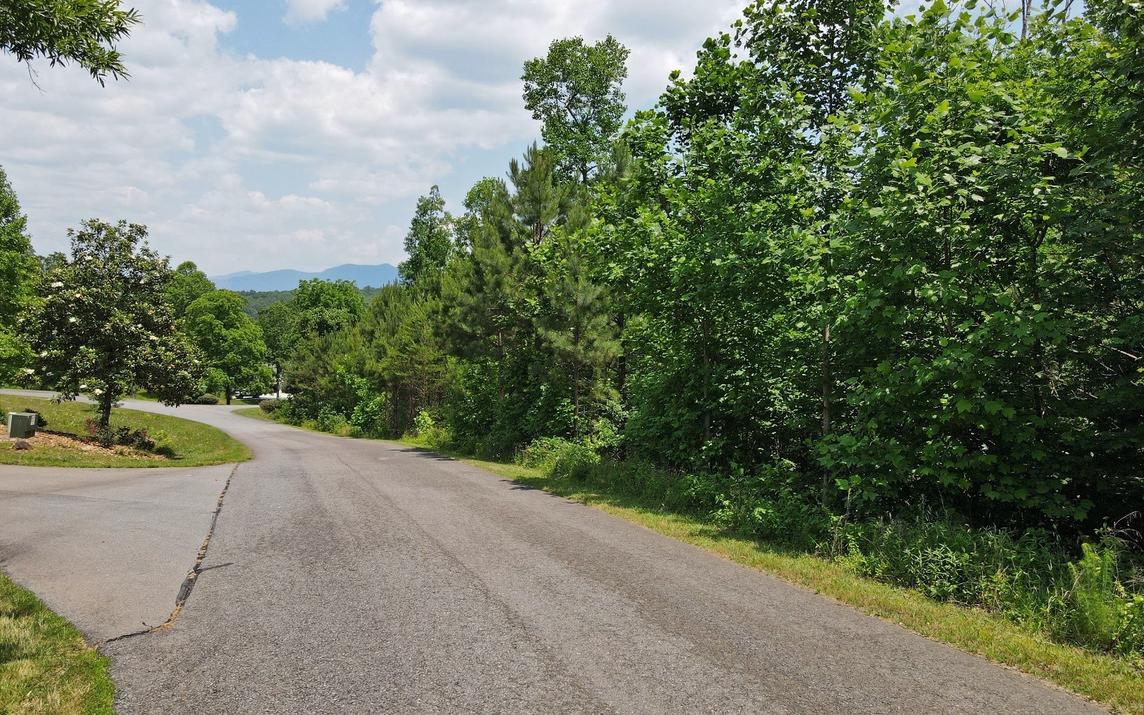 Vacant Land in Gated Community
