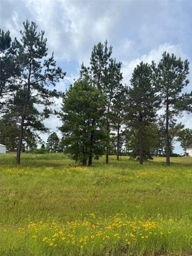 Residential Land in Faith Plantation