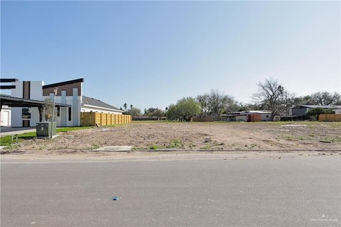 Edinburg Land For Sale