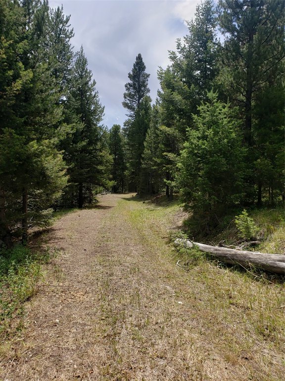 Picture 27