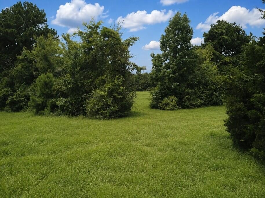 Picture 6