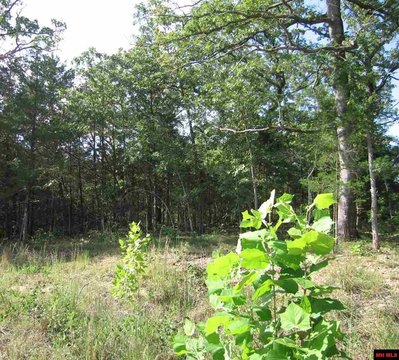 LAND - Flippin, AR