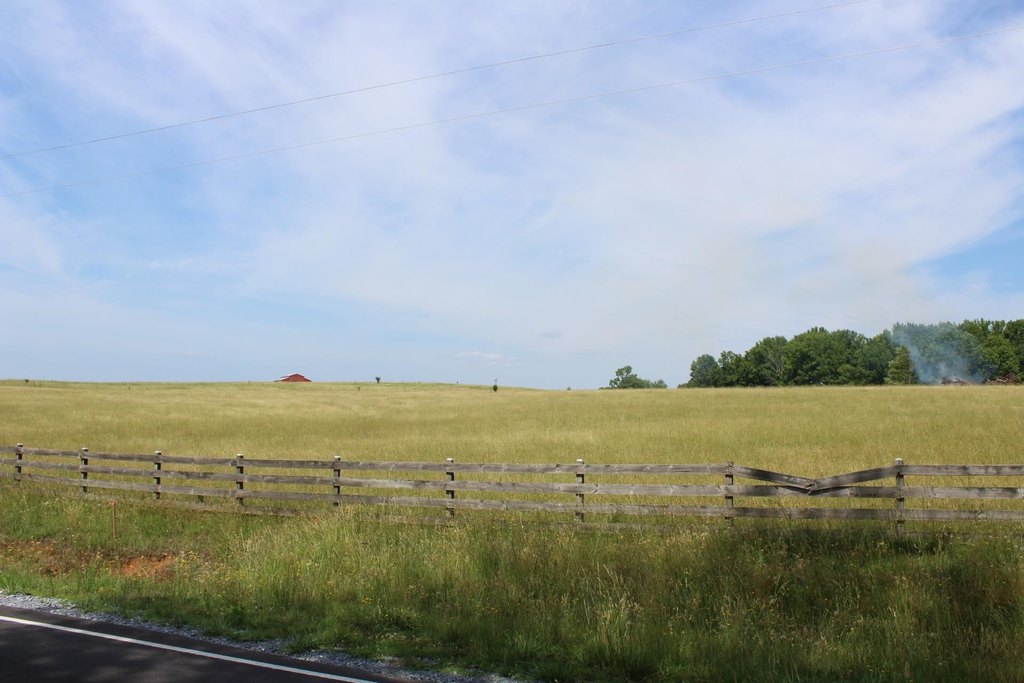 Picture 13