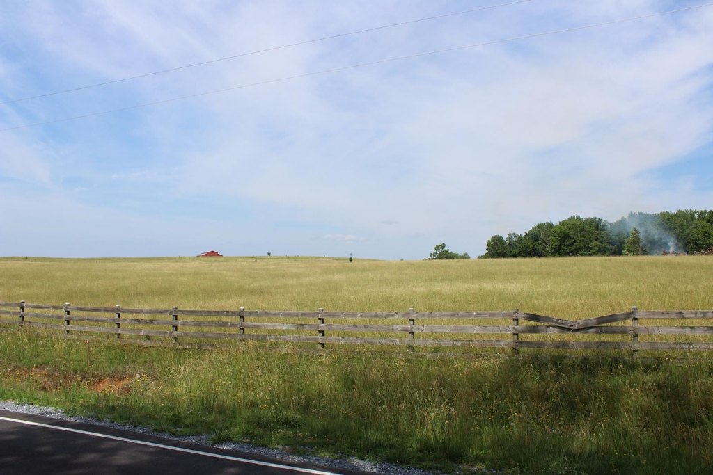 Picture 11