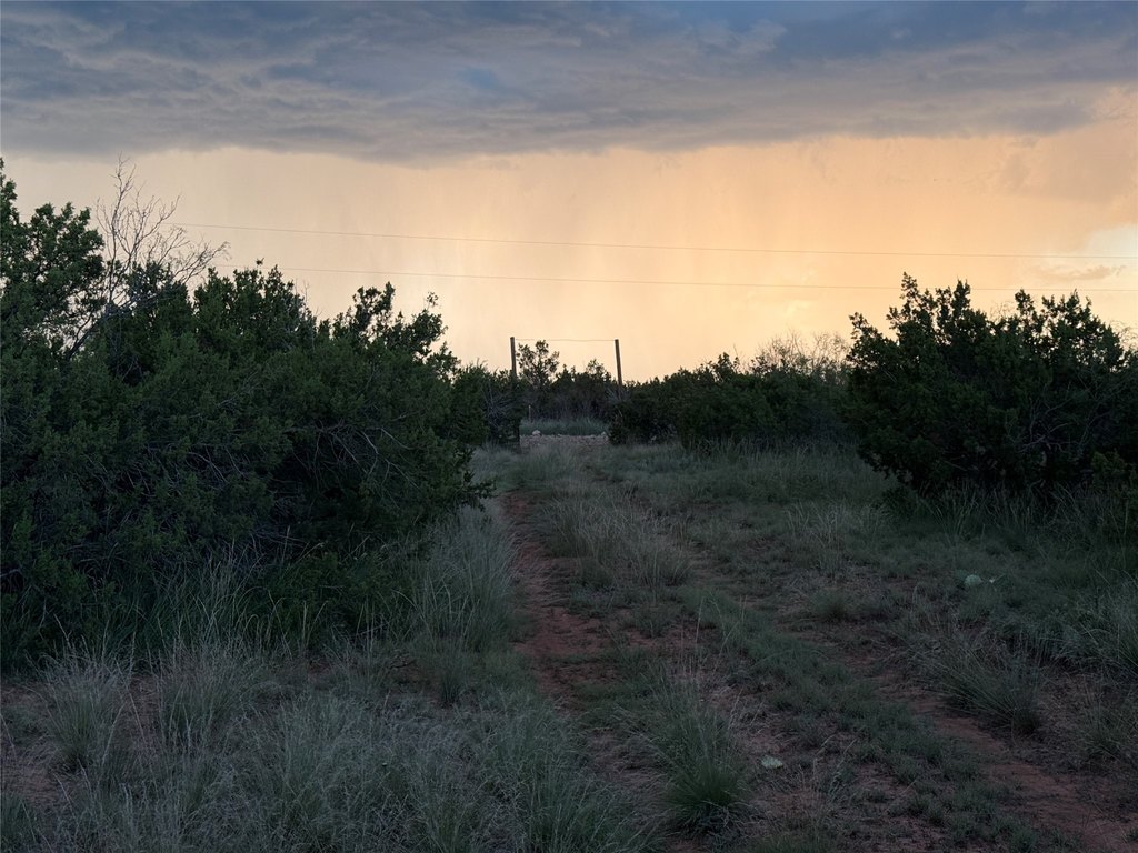 Picture 18