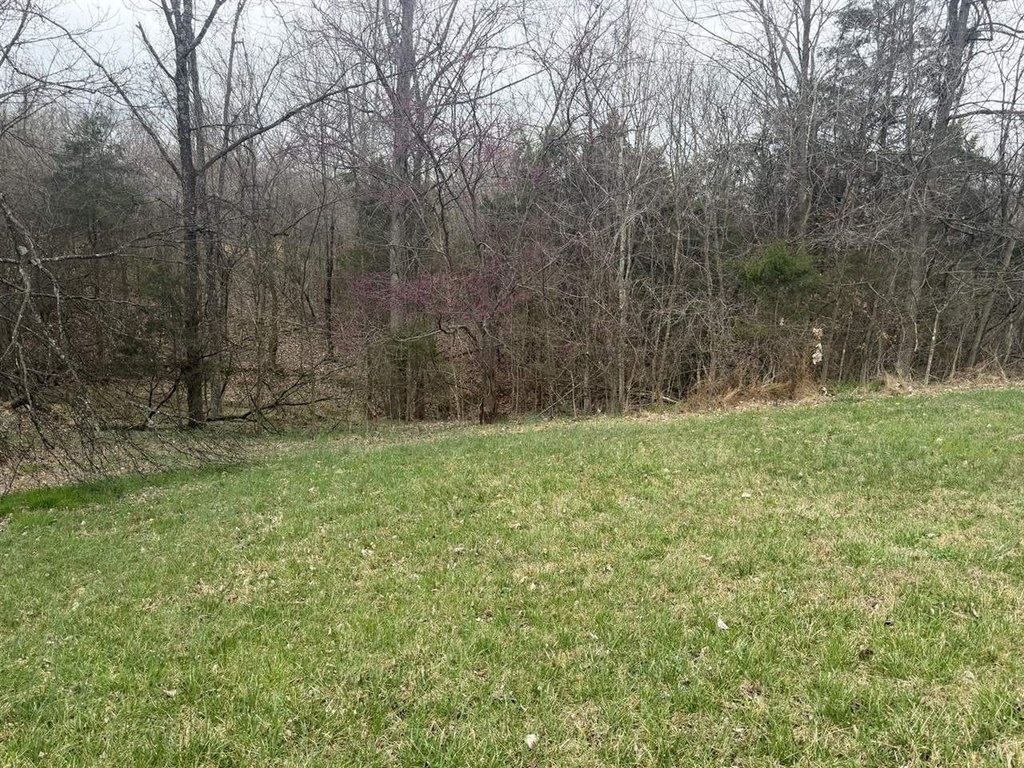 Picture 17