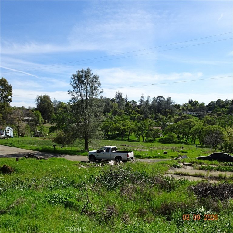 Picture 10