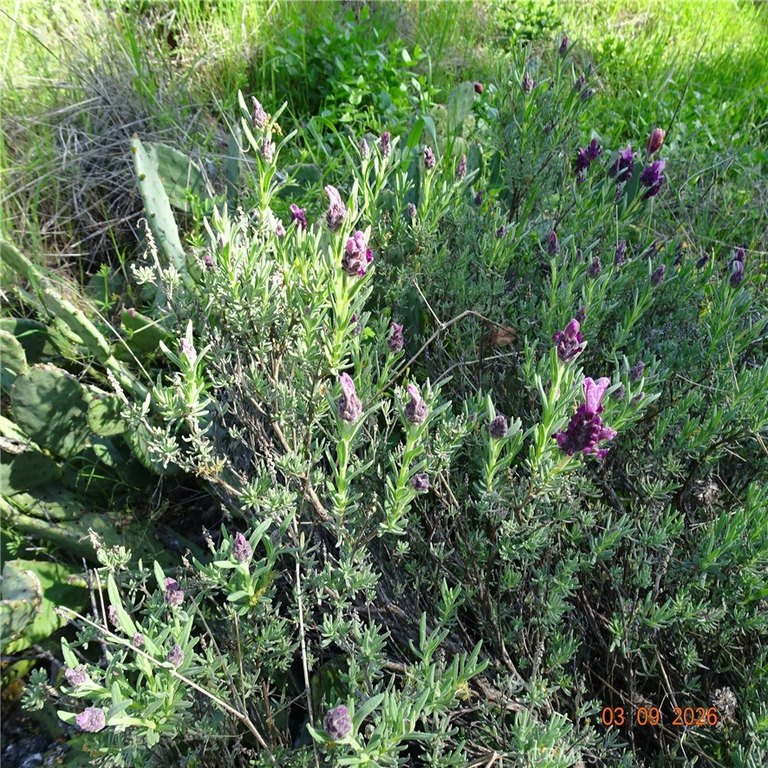 Picture 3