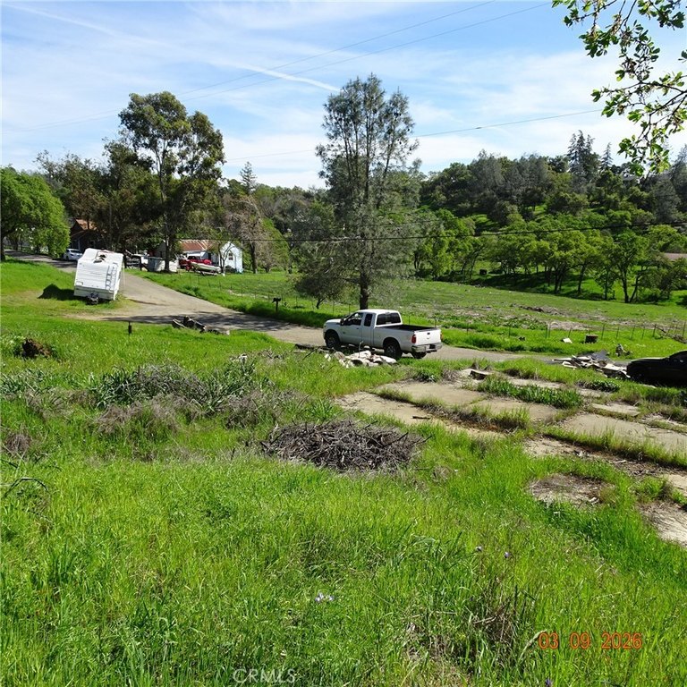 Picture 8