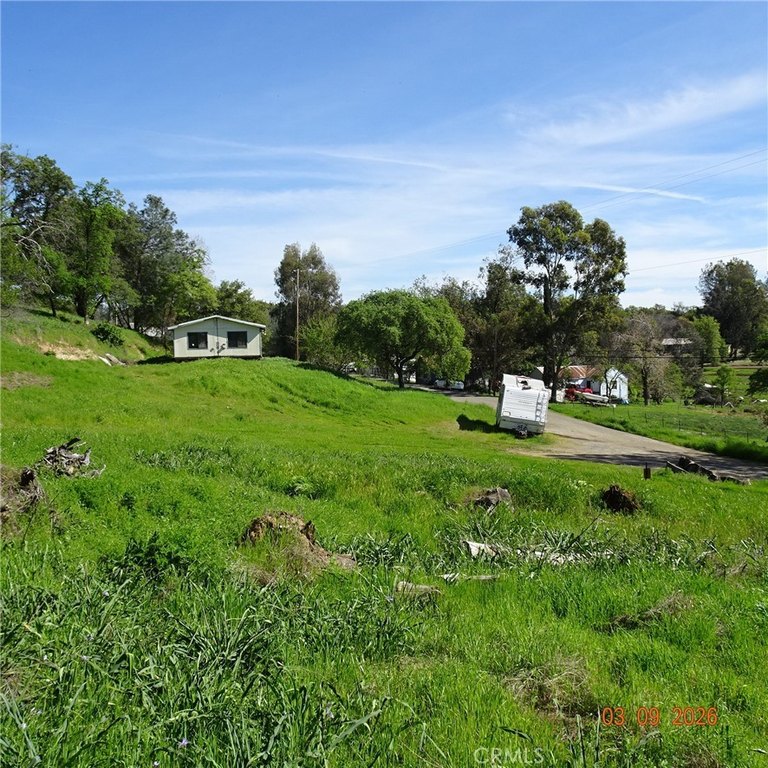 Picture 11