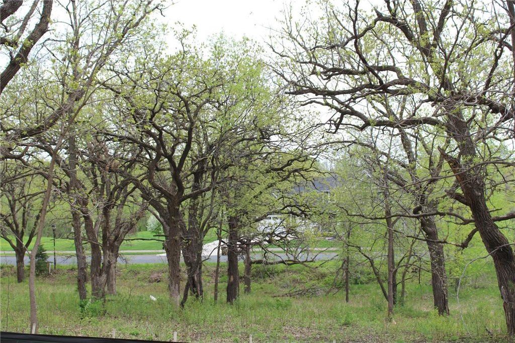 Picture 9
