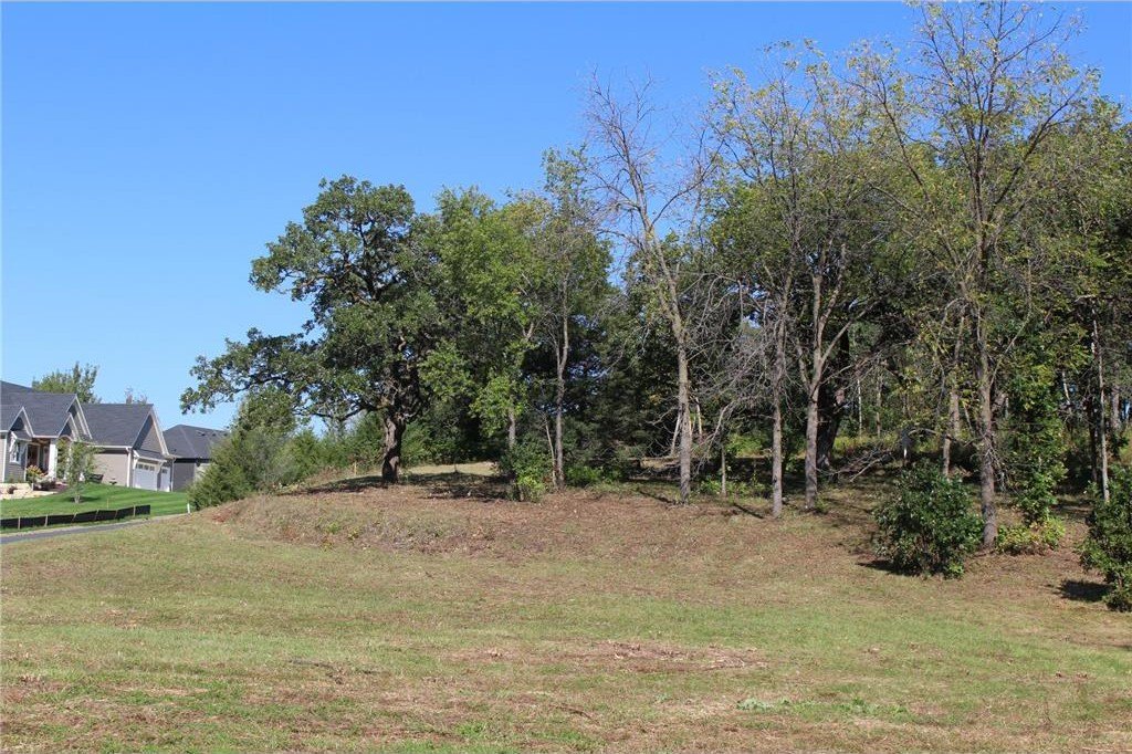 Picture 3