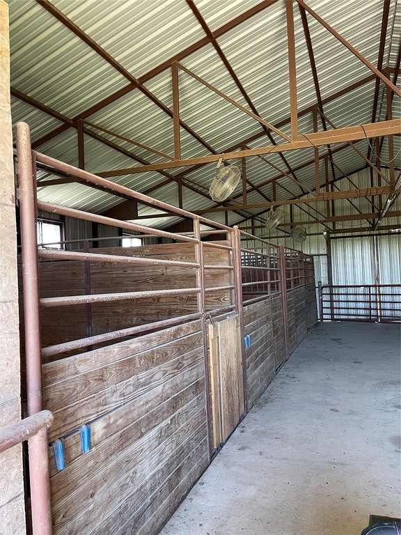 Picture 10
