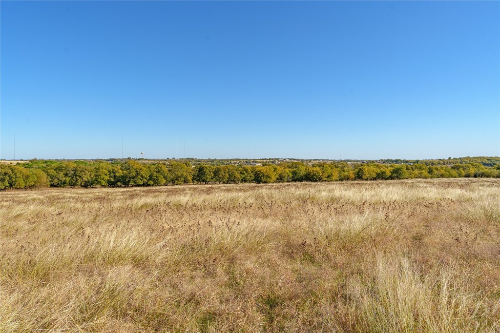 Picture 36