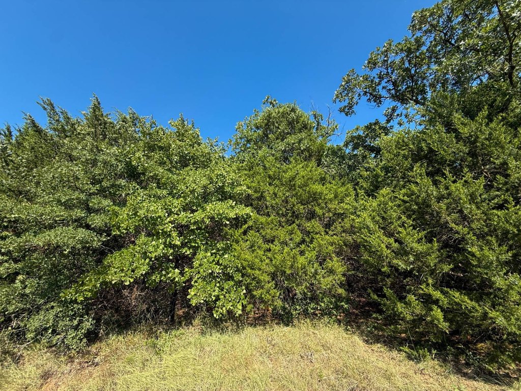 Picture 18