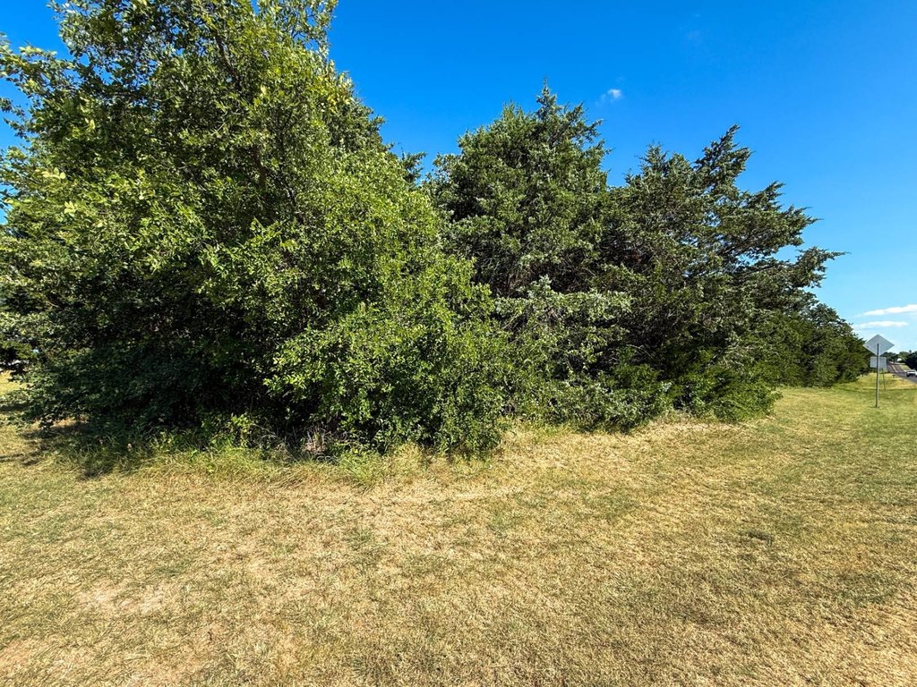 Picture 21