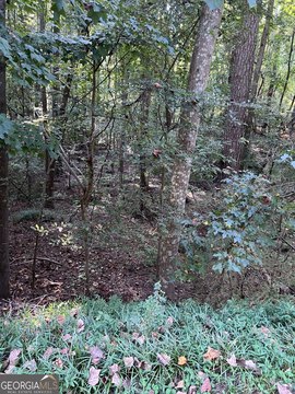 Land, Stockbridge, GA