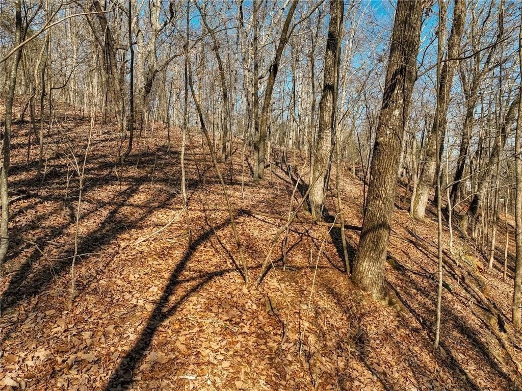 Picture 14