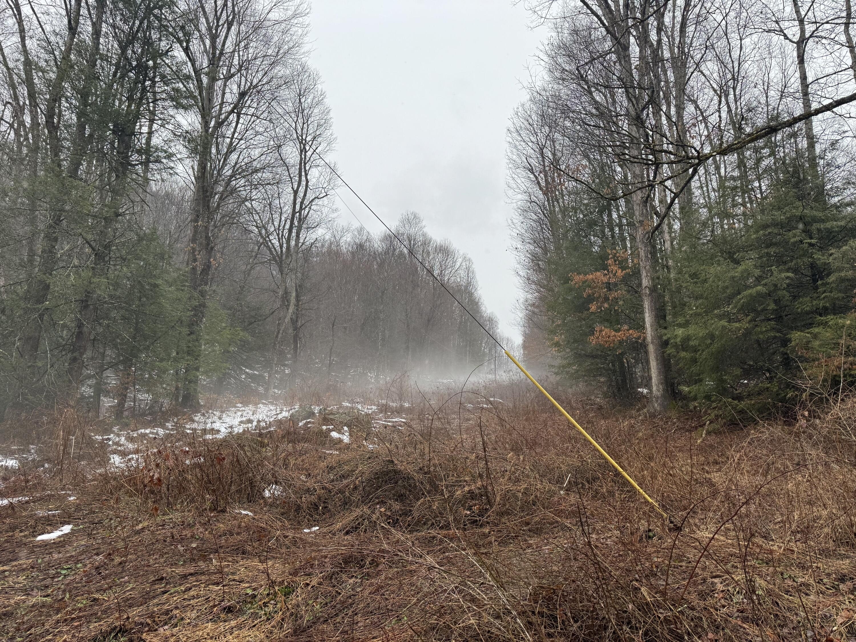 Land Near Gauley River