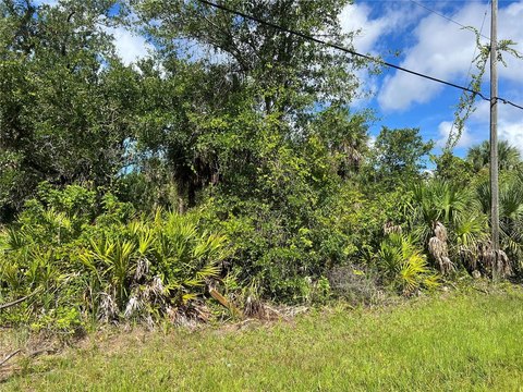 Residential Lot in Growing Community