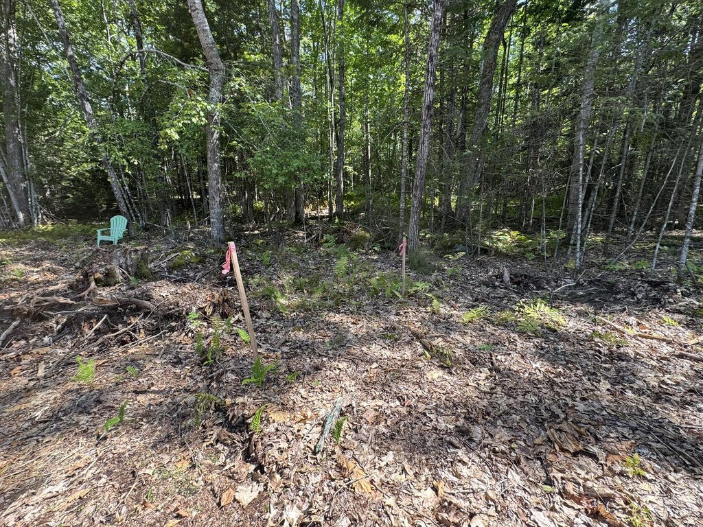 Picture 15