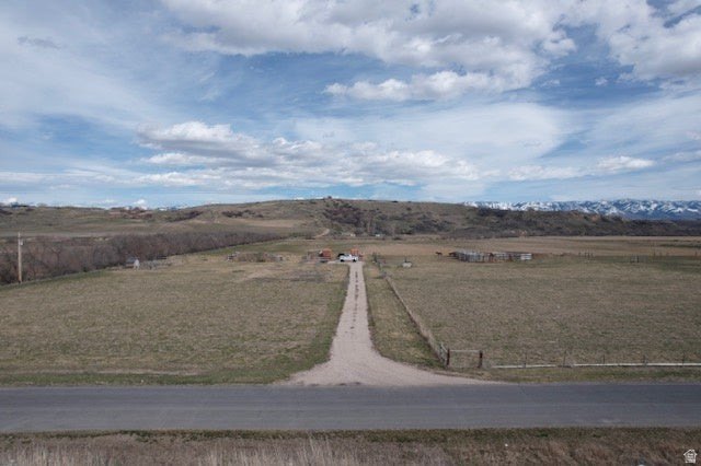 Picture 4