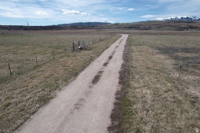Picture 8