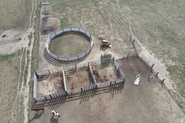 Picture 5