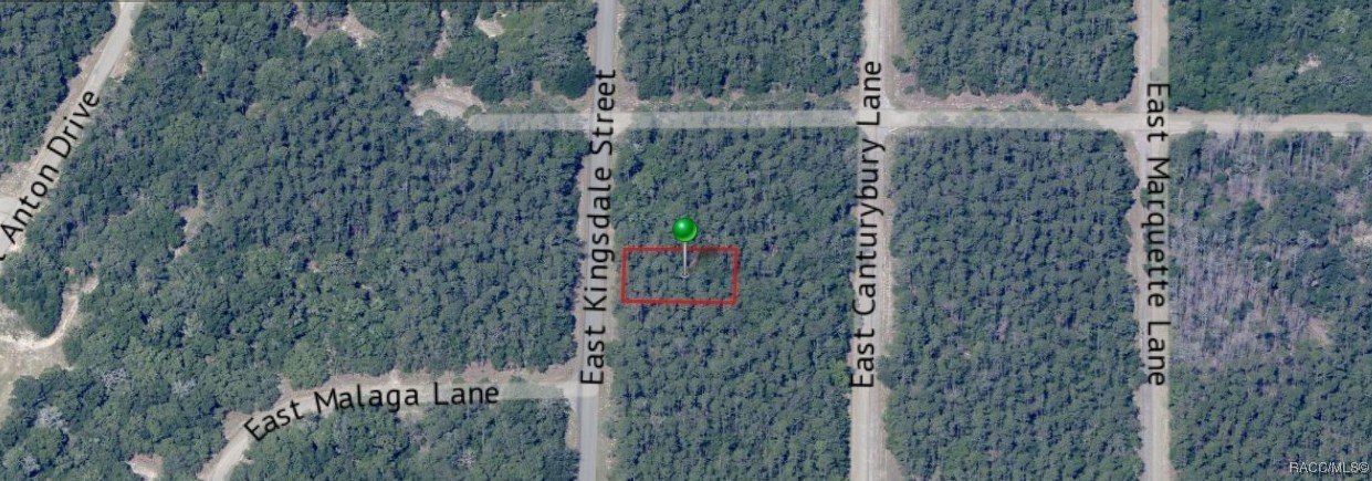 Citrus Springs Corner Lot