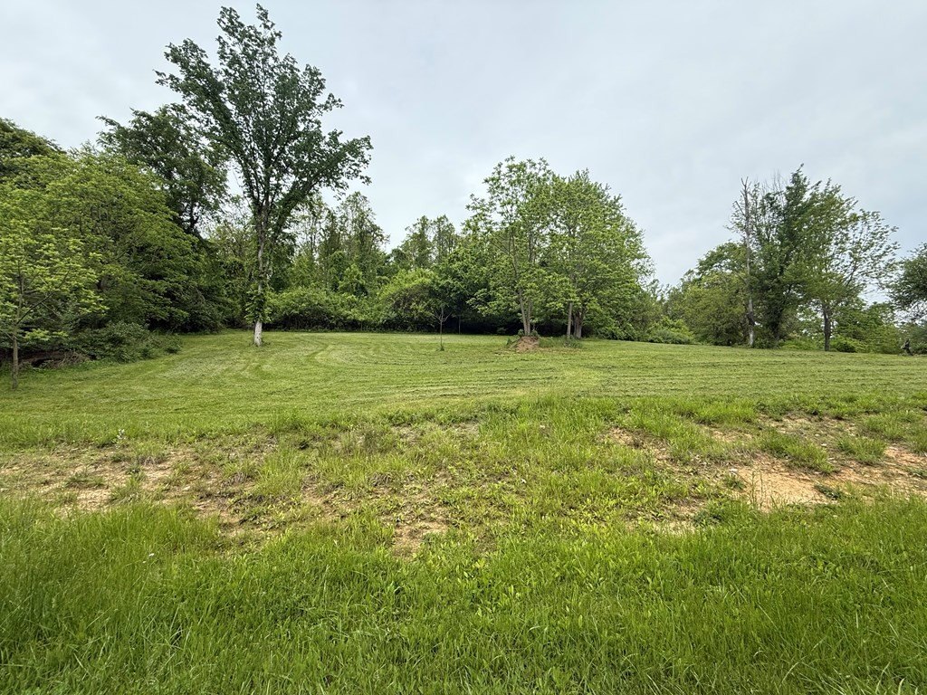 Picture 9