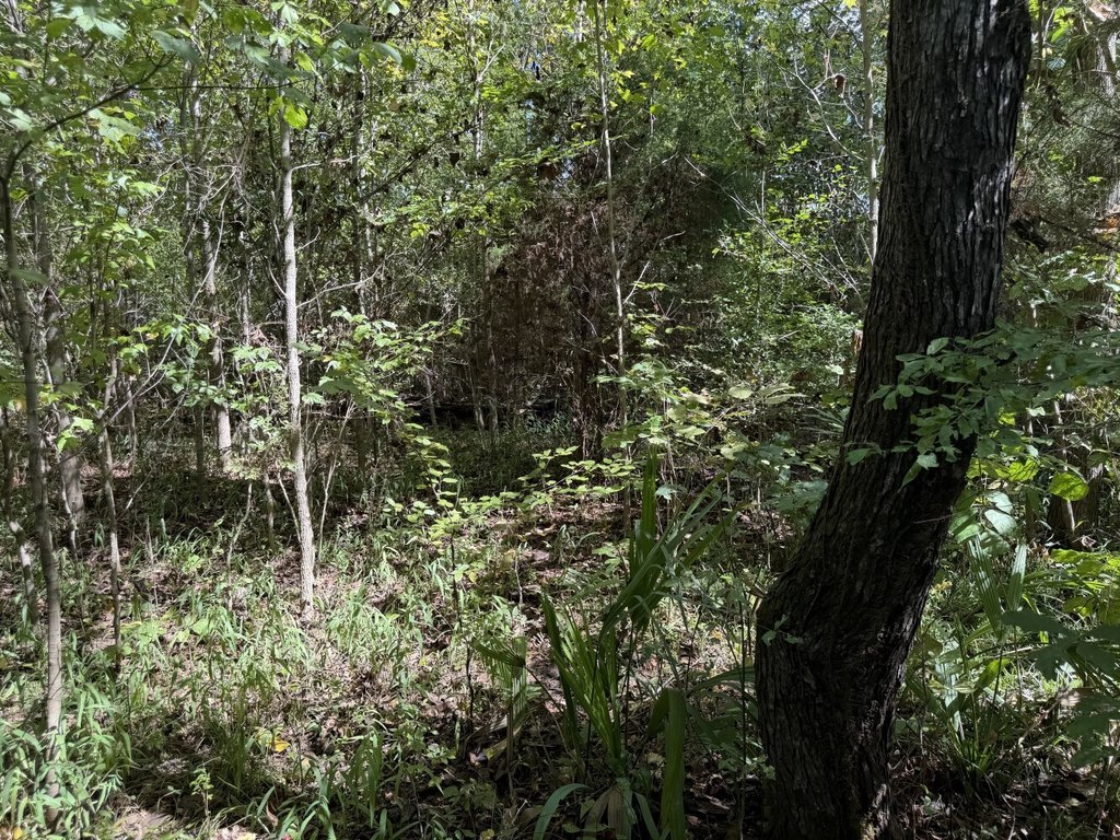 Picture 31