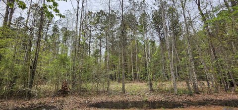 Land, Walker, LA