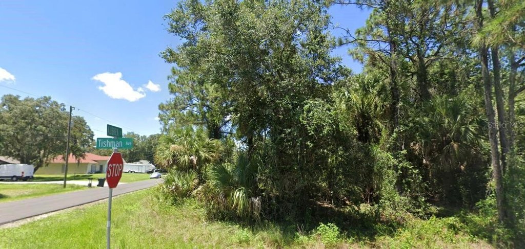 Picture 5