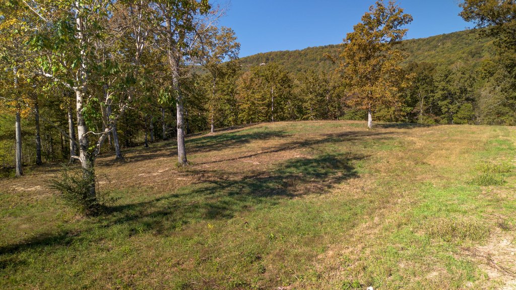 Picture 19
