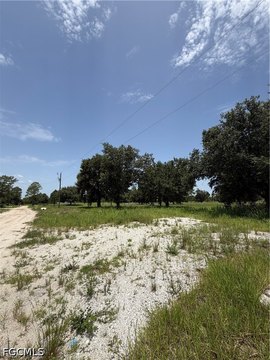 LAND - Labelle, FL