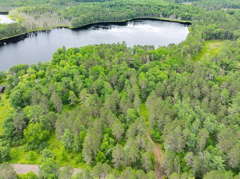 Eagle River Wooded Lakefront Land
