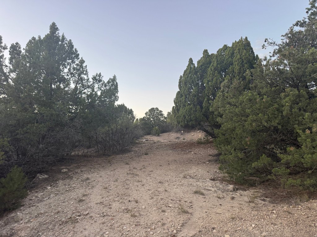 Picture 6