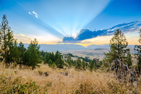 Land, Plains, MT