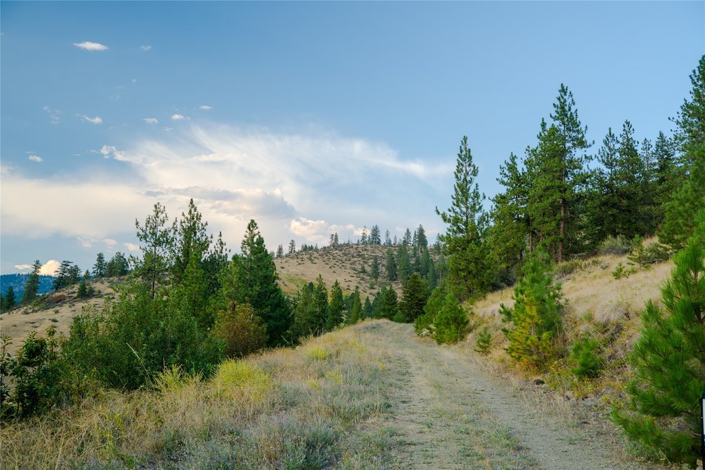 Picture 5