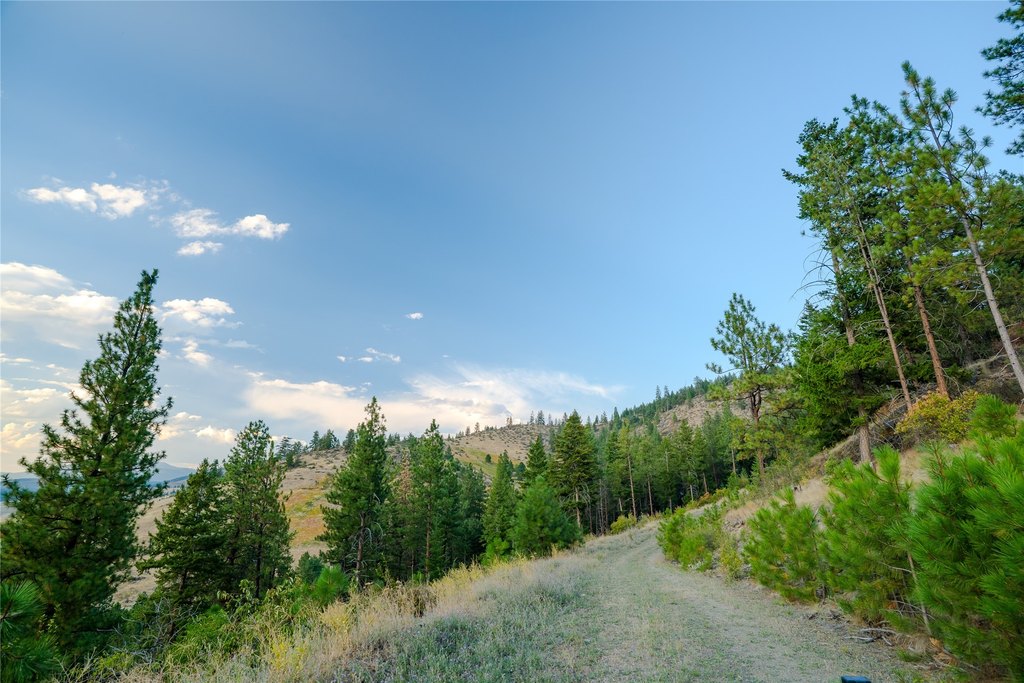 Picture 14
