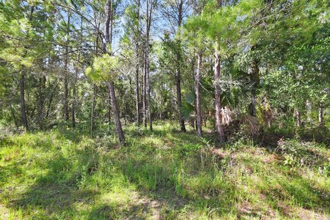 Land, DELAND, FL
