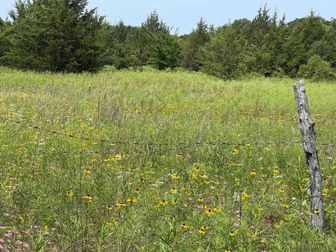 Land, Colbert, OK