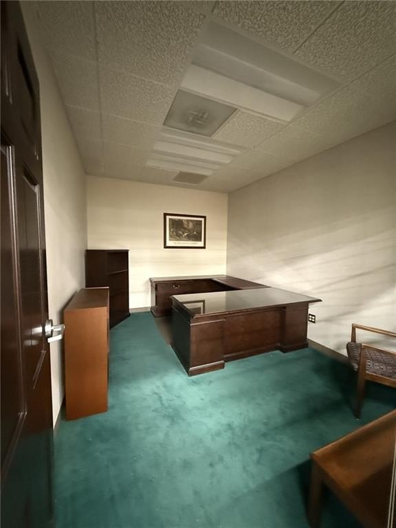 Picture 19