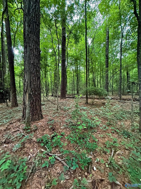 Picture 4