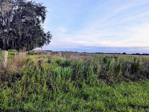 Land, ZOLFO SPRINGS, FL